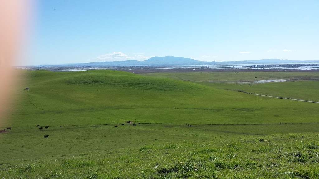 San Francisco Bay National Estuarine Research Reserve | San Rafael, CA 94901, USA | Phone: (415) 338-3707