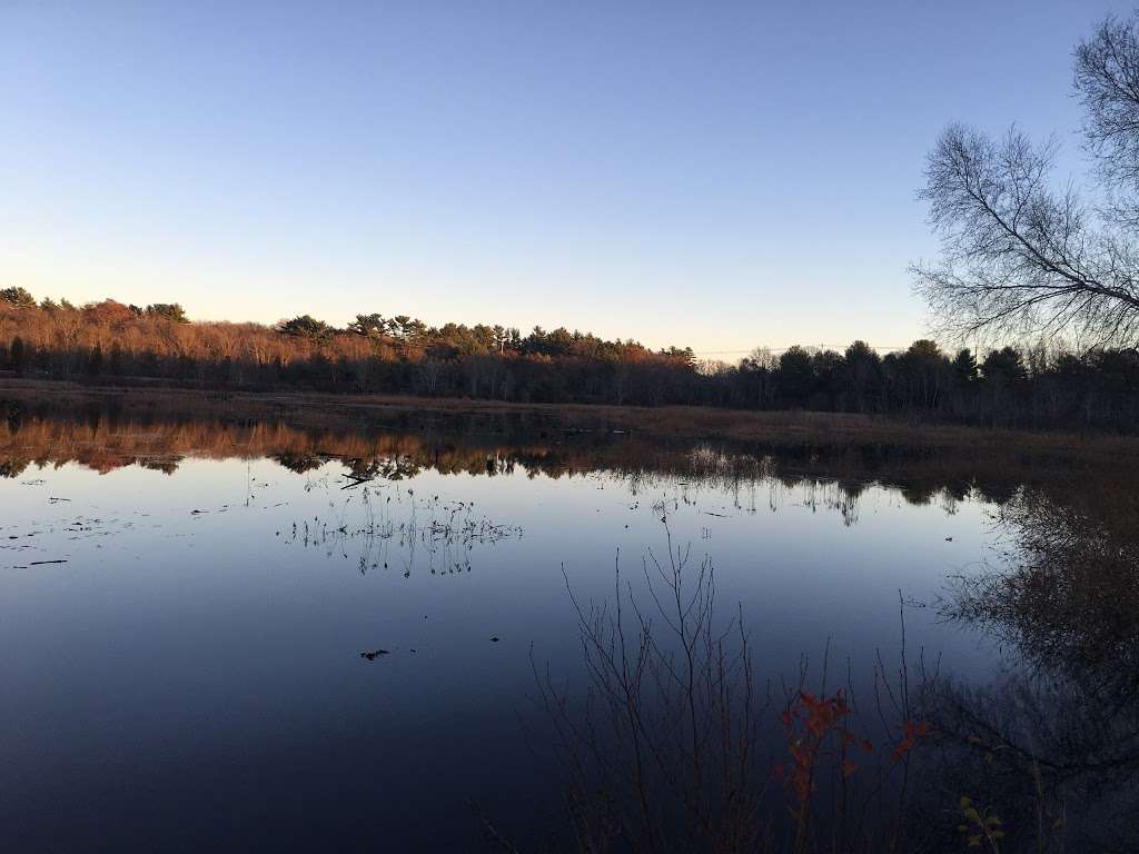 Duxbury Bogs | Duxbury, MA 02332, USA