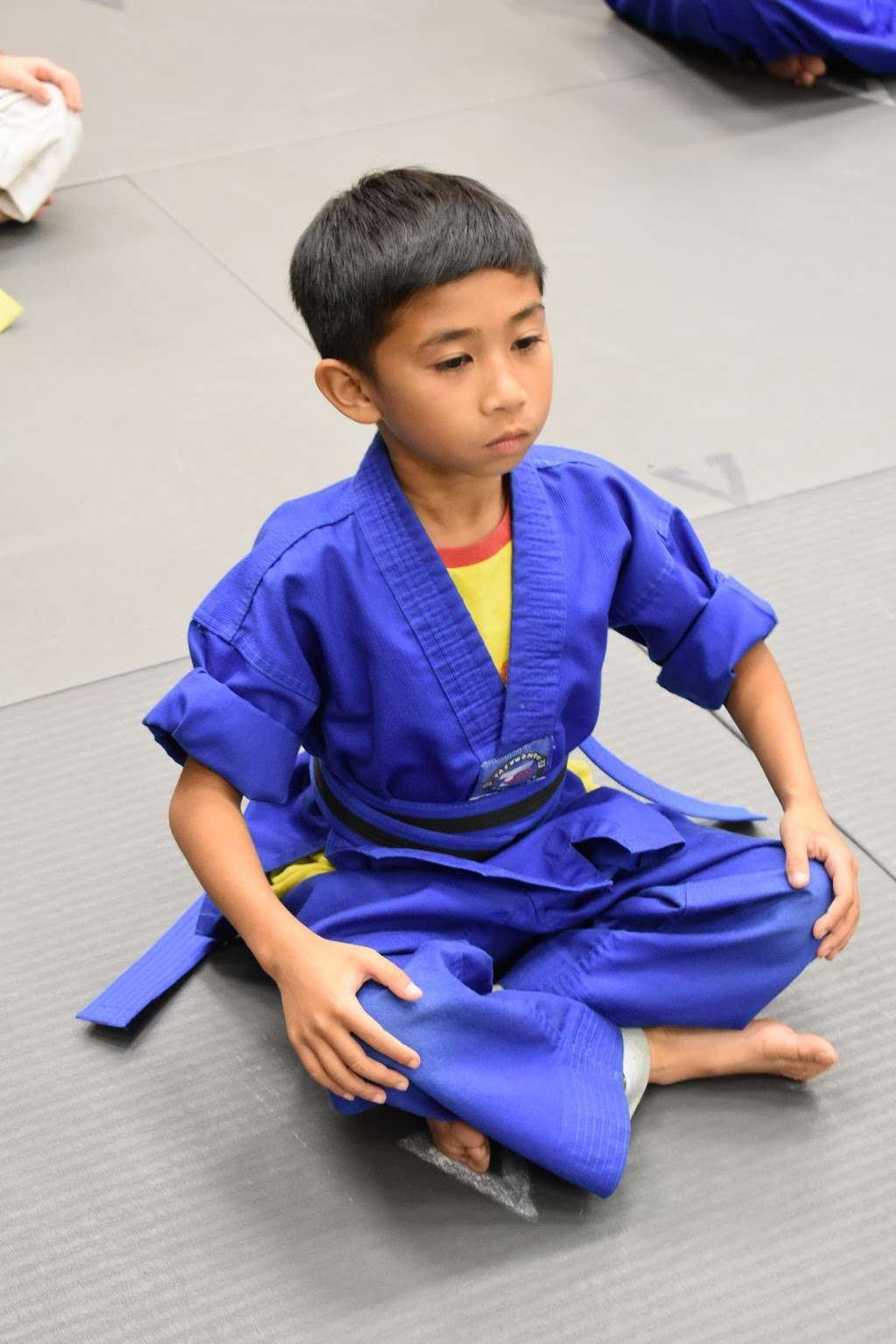 Vision Martial Arts | 5667 Silver Creek Valley Rd, San Jose, CA 95138, USA | Phone: (408) 528-6639