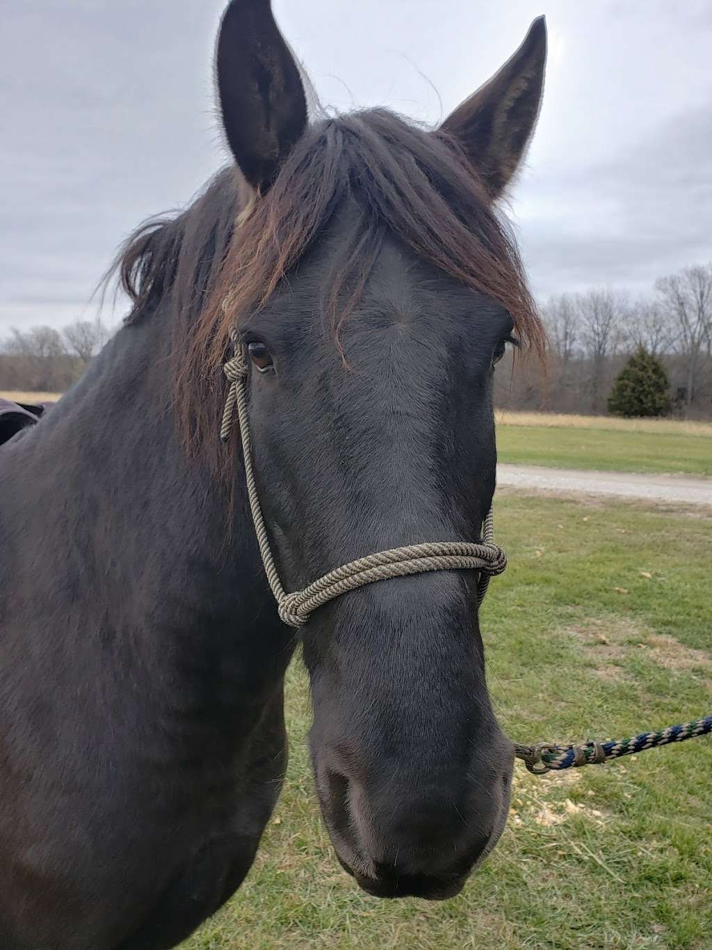 Hillsdale State Park Equestrian Camp | Paola, KS 66071, USA