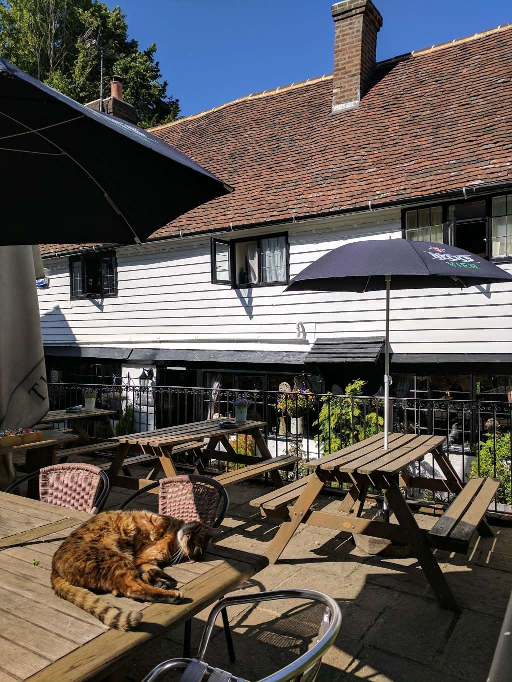 The Spotted Dog | 6 Saint’s Hill, Penshurst, Tonbridge TN11 8EG, UK | Phone: 01892 870253