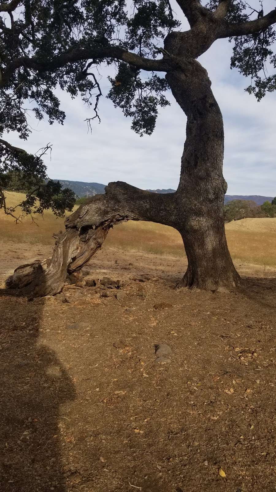 Browns Valley Opens Space Preserve | Vacaville, CA 95688