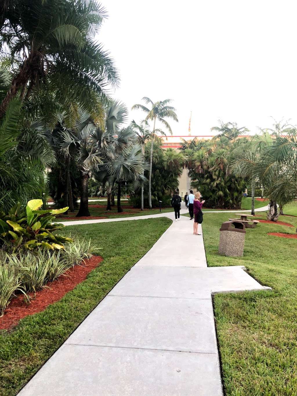 FIU Palmetum | Miami, FL 33174, USA