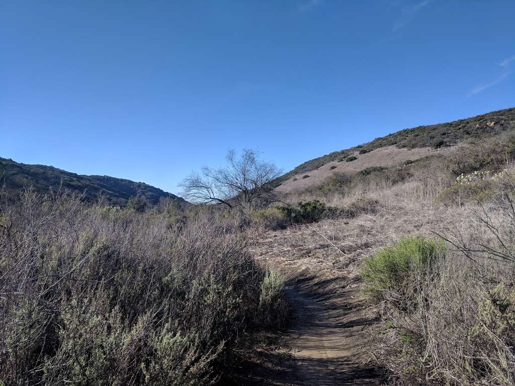 Deer Canyon Campground | Laguna Beach, CA 92651, USA