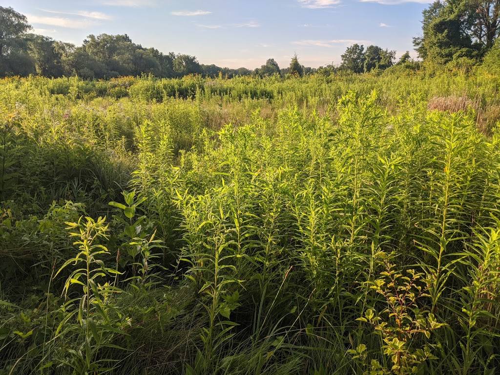 Prairie Pathway North Trail Head | 14600-15098 Outer Dr W, Detroit, MI 48239, USA | Phone: (313) 799-3677