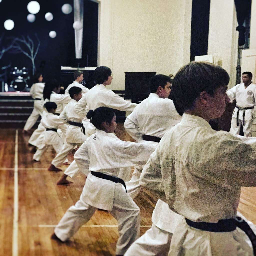 Enso Karate - Oak Park Dojo | 1045 S Kenilworth Ave, Oak Park, IL 60304, USA