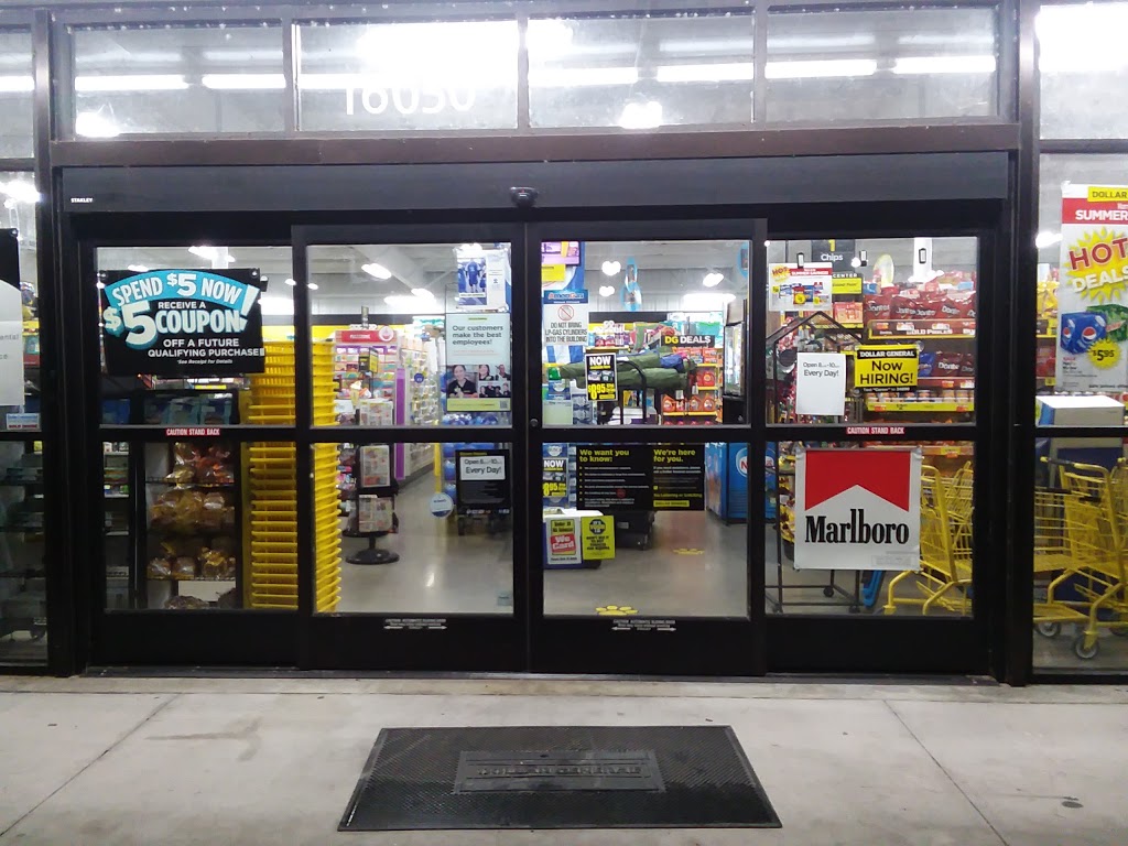 Dollar General | 10650 County Rd 44, Leesburg, FL 34788, USA | Phone: (352) 702-3859