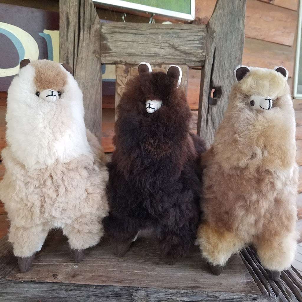 Little Brushwood Alpaca Farm & Country Store | 51 Parsons Rd, Newton, NJ 07860, USA | Phone: (973) 579-0021