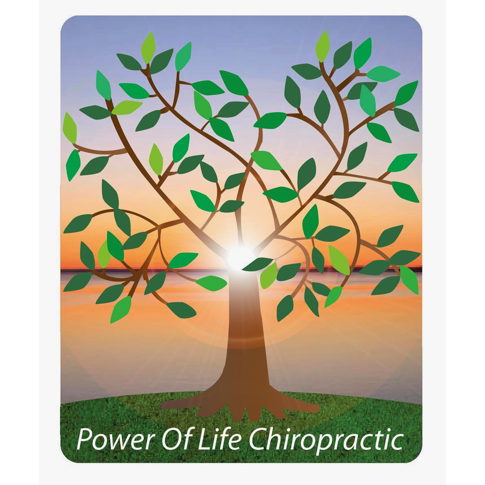 Power of Life Chiropractic | 327 Coddle Market Dr NW #120, Concord, NC 28027, USA | Phone: (704) 721-5433