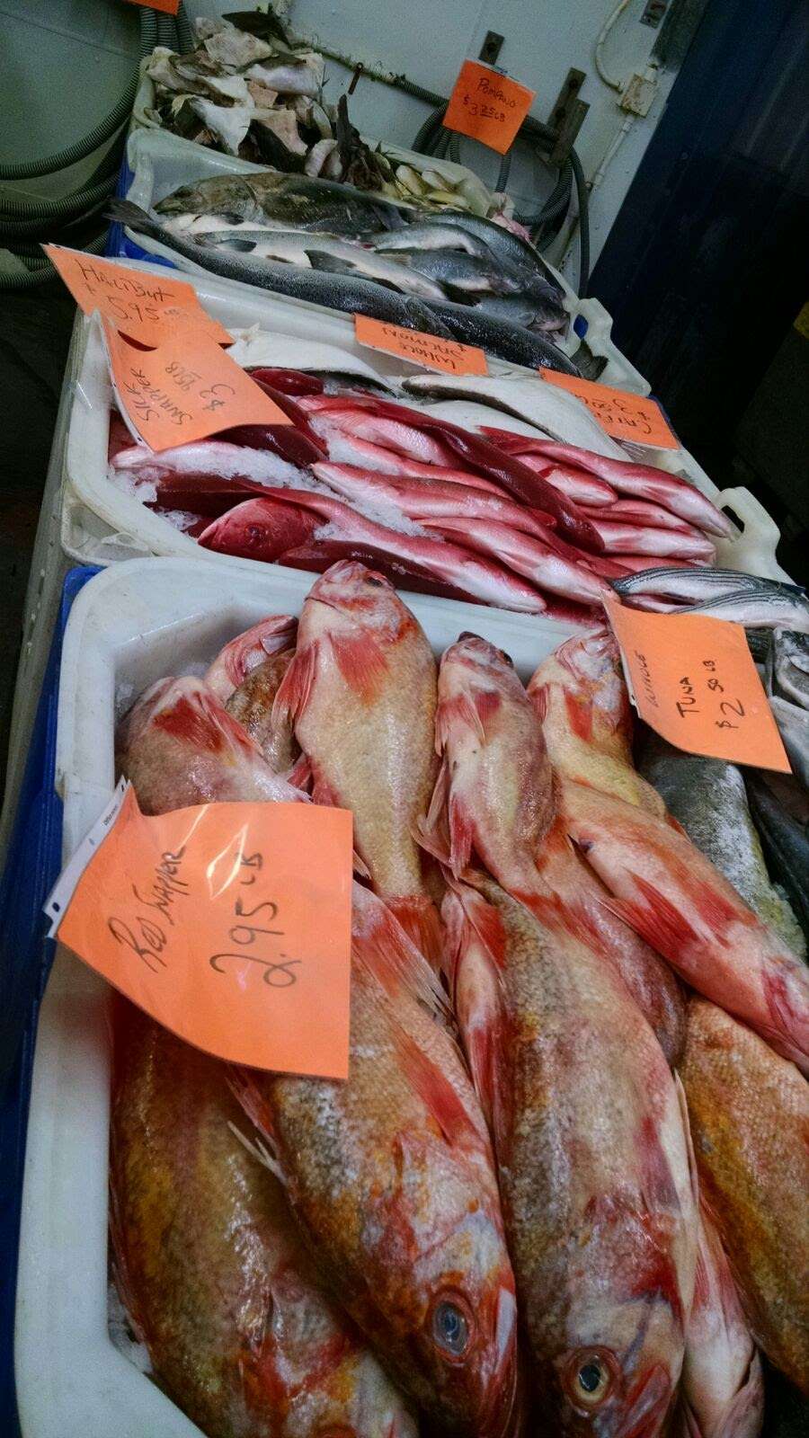 Saturday morning fish market | 2200 Signal Pl, San Pedro, CA 90731, USA | Phone: (310) 831-5655