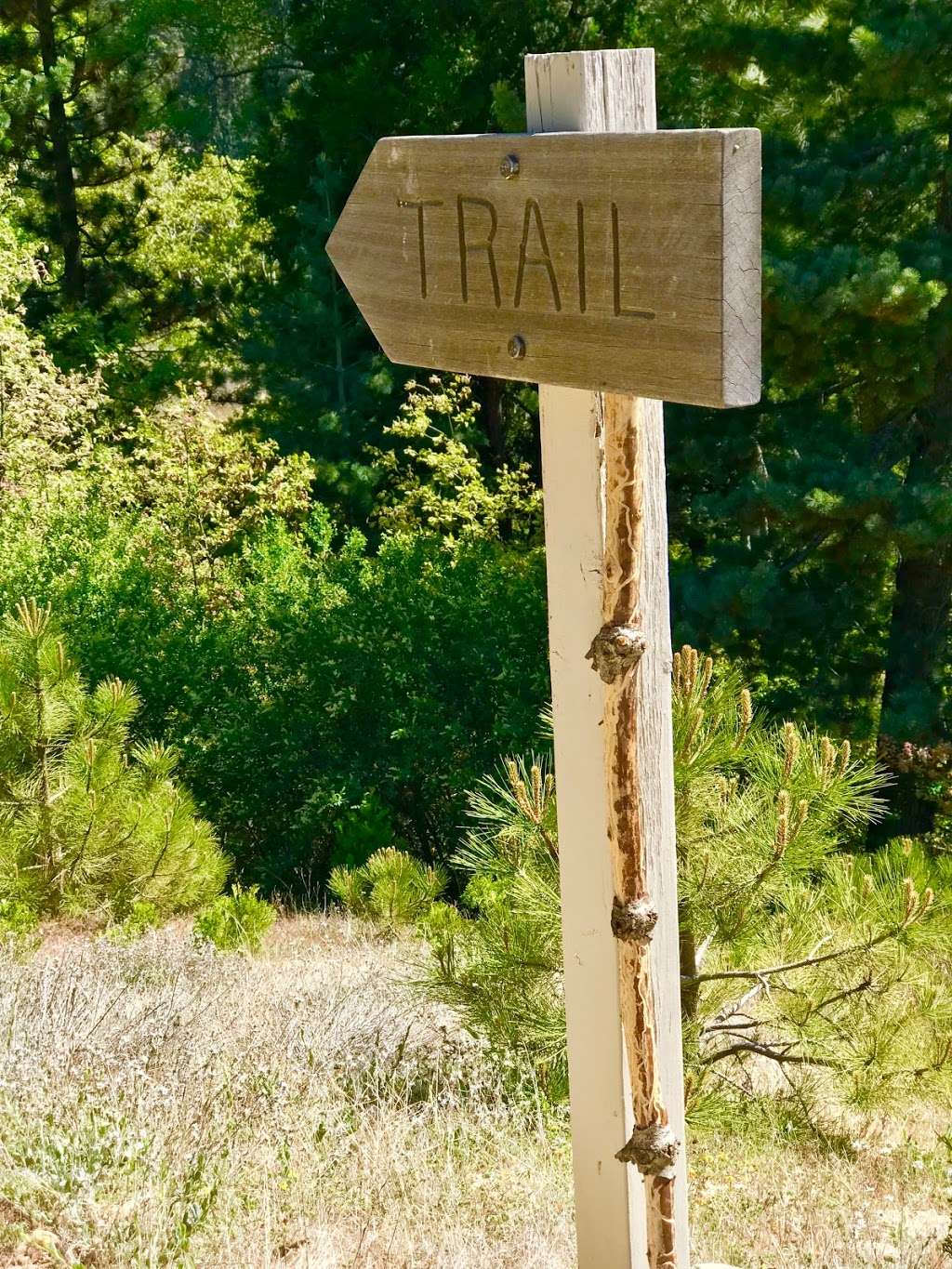 Will Abell Memorial Trail at Arrowhead Ridge | Lake Arrowhead, CA 92352, USA