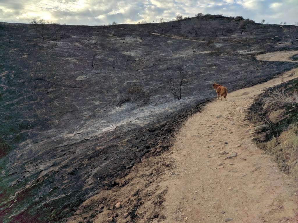 Canyon View Trailhead West | Canyon View Trail, Simi Valley, CA 93065, USA | Phone: (805) 584-4400