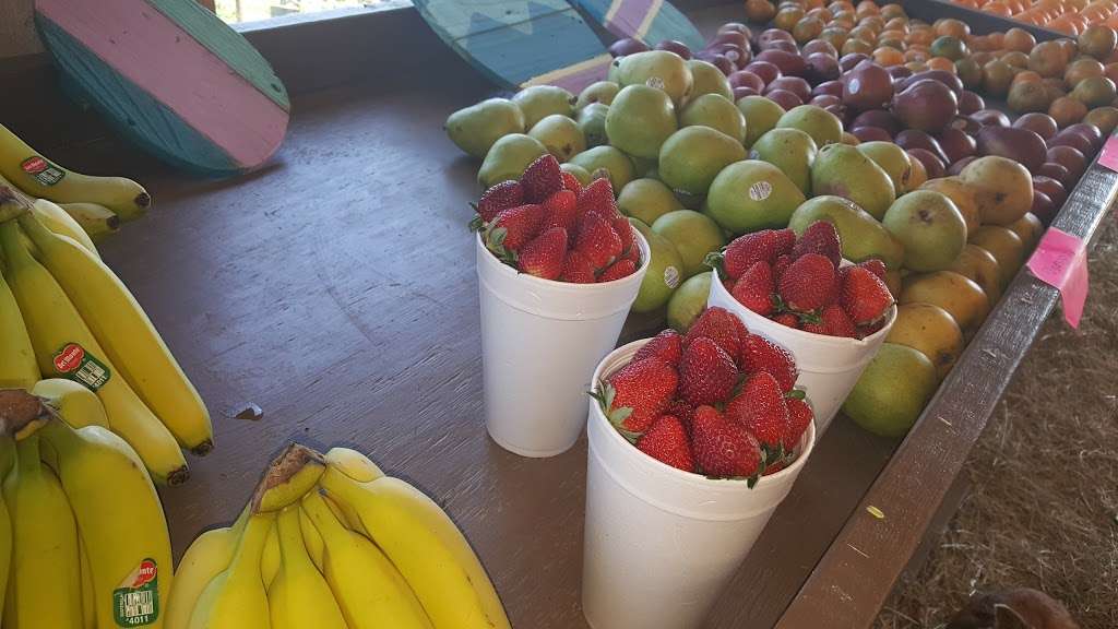 Quality Fruit | 6019 W Davis St, Conroe, TX 77304, USA | Phone: (713) 302-9461