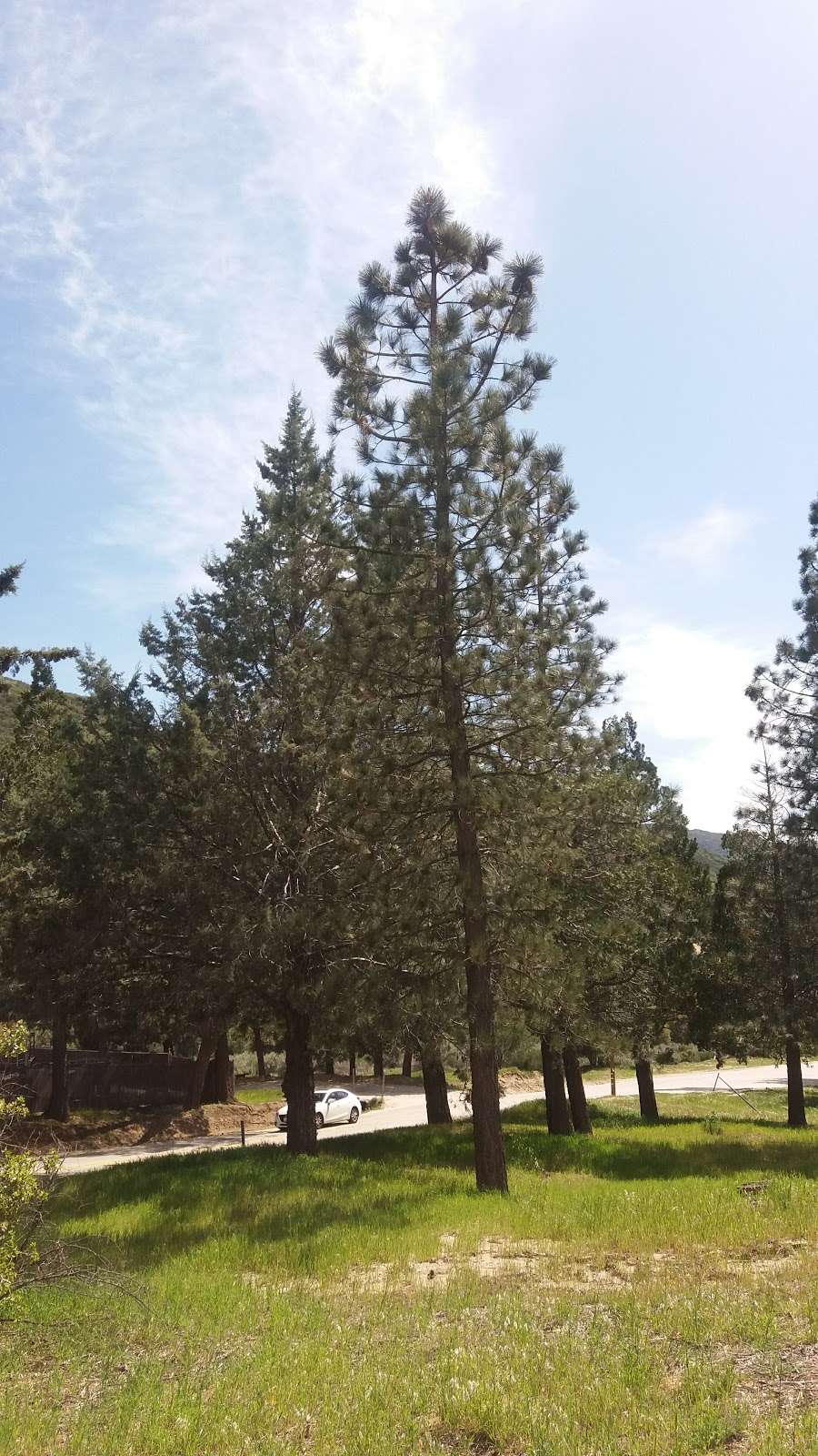 US Forestry Department | 40935 San Francisquito Canyon Rd, Green Valley, CA 91390, USA | Phone: (661) 270-1155