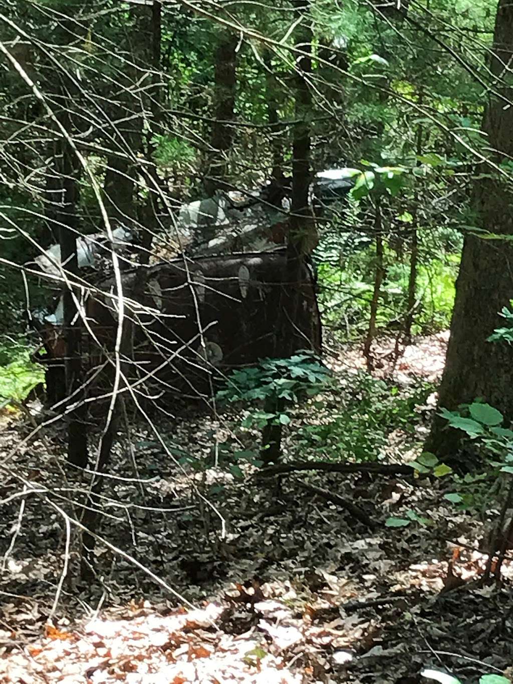 Hazels Beaver Point Picnic Table | Northborough, MA 01532, USA