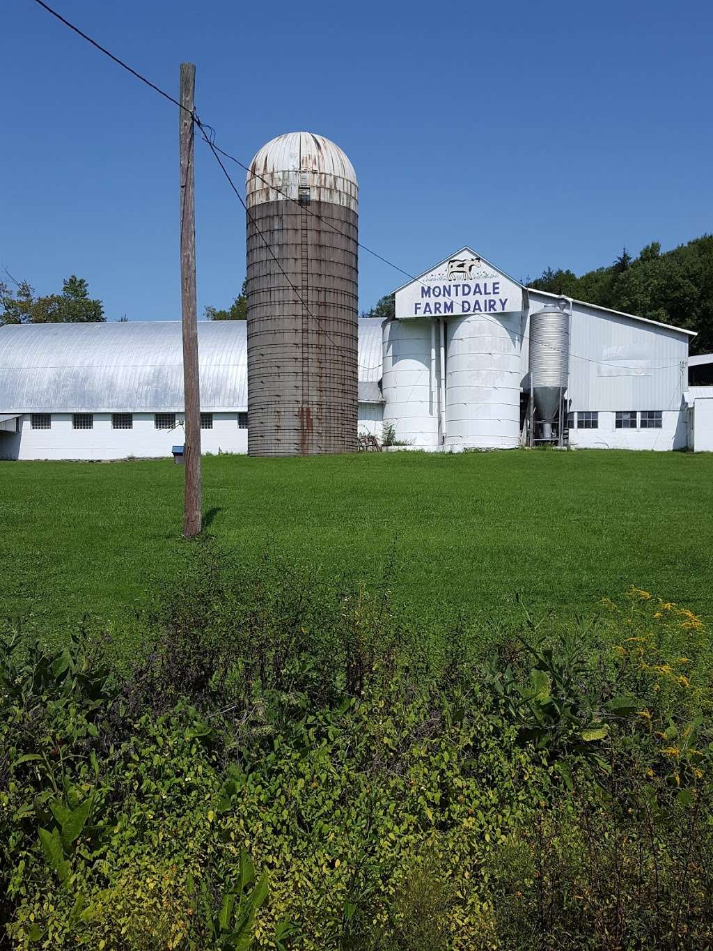 Montdale Dairy | 939 Montdale Rd, Olyphant, PA 18447, USA | Phone: (570) 254-6511