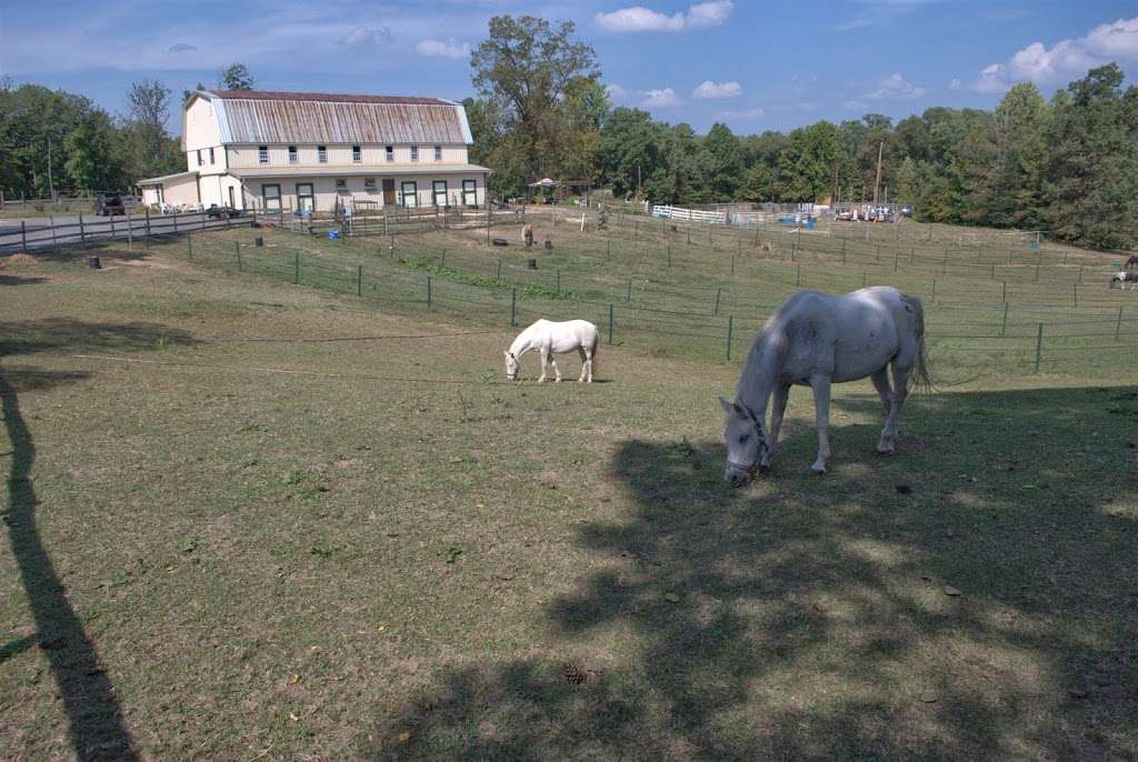 Hollywood Pony Farm | 25050 Peregrine Way, Hollywood, MD 20636, USA | Phone: (240) 298-3248