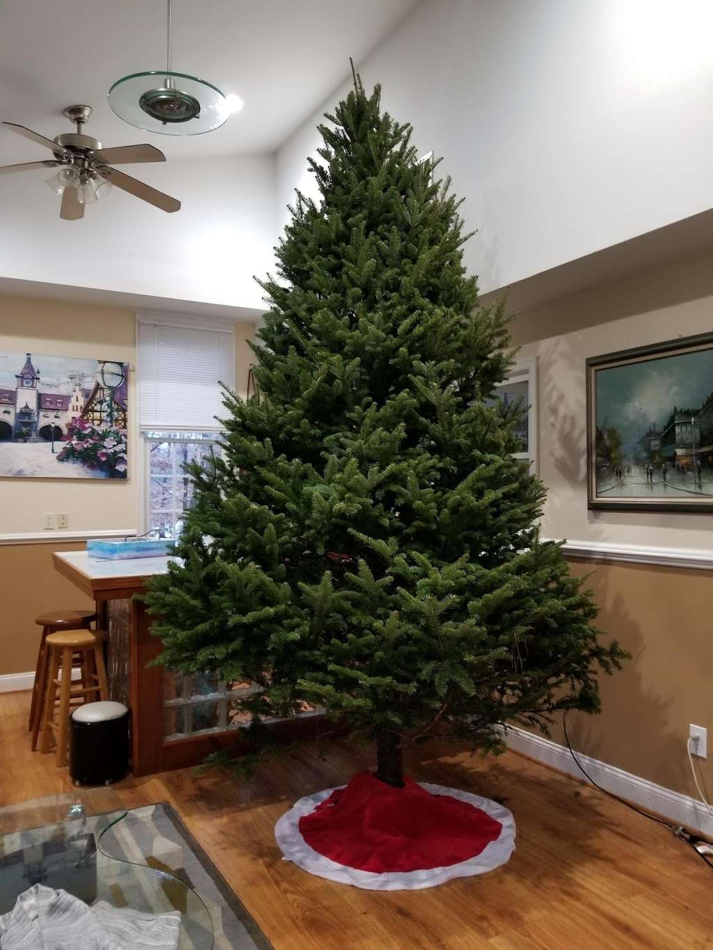 North Star Christmas Trees - Pre-Cut Lot | 11120 Cherry Hill Rd, Beltsville, MD 20705 | Phone: (301) 933-4833