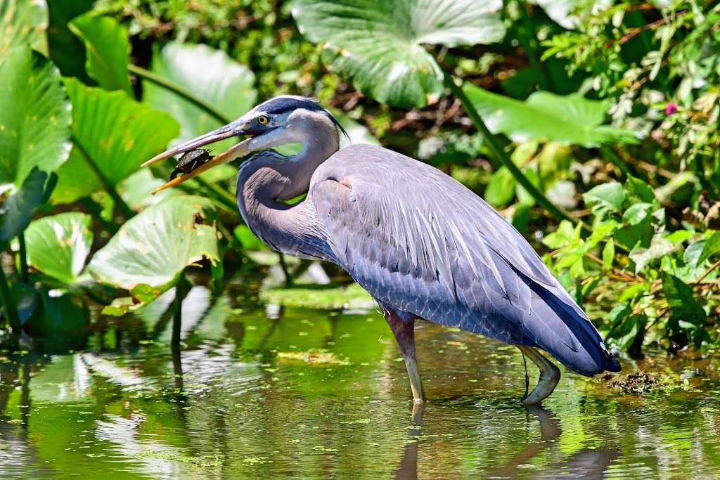 Delware and Raritan Canal Park Trail | Delaware and Raritan Canal State Park Trail, Princeton, NJ 08540