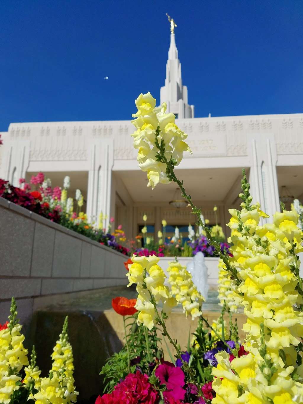 The Church of Jesus Christ of Latter-day Saints | 5104 W Pinnacle Peak Rd, Glendale, AZ 85310, USA | Phone: (623) 582-2857