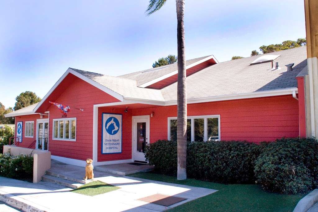 Dana Niguel Veterinary Hospital | 34249 Pacific Coast Hwy, Dana Point, CA 92629, USA | Phone: (949) 661-6375