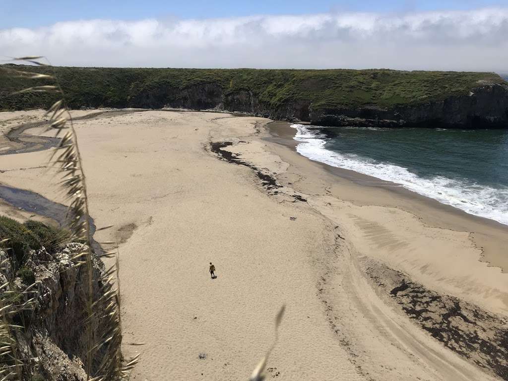 Bonny Doon Beach | North Pacific Ocean, Santa Cruz, CA 95060, USA