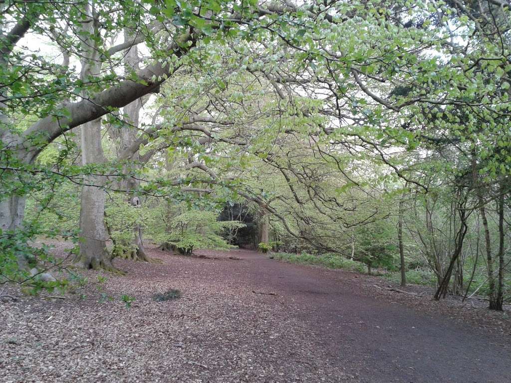 Holly Lane Car Park | UK, Banstead, Tadworth SM7 3QG, UK