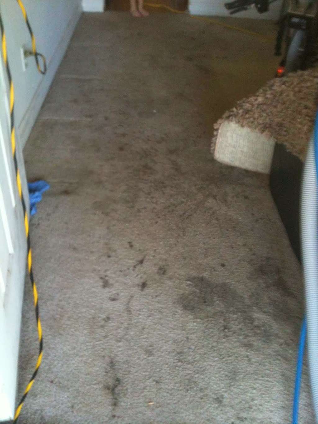 Mira Loma Carpet Cleaning | 5871 Bain St, Mira Loma, CA 91752, USA | Phone: (951) 888-1238