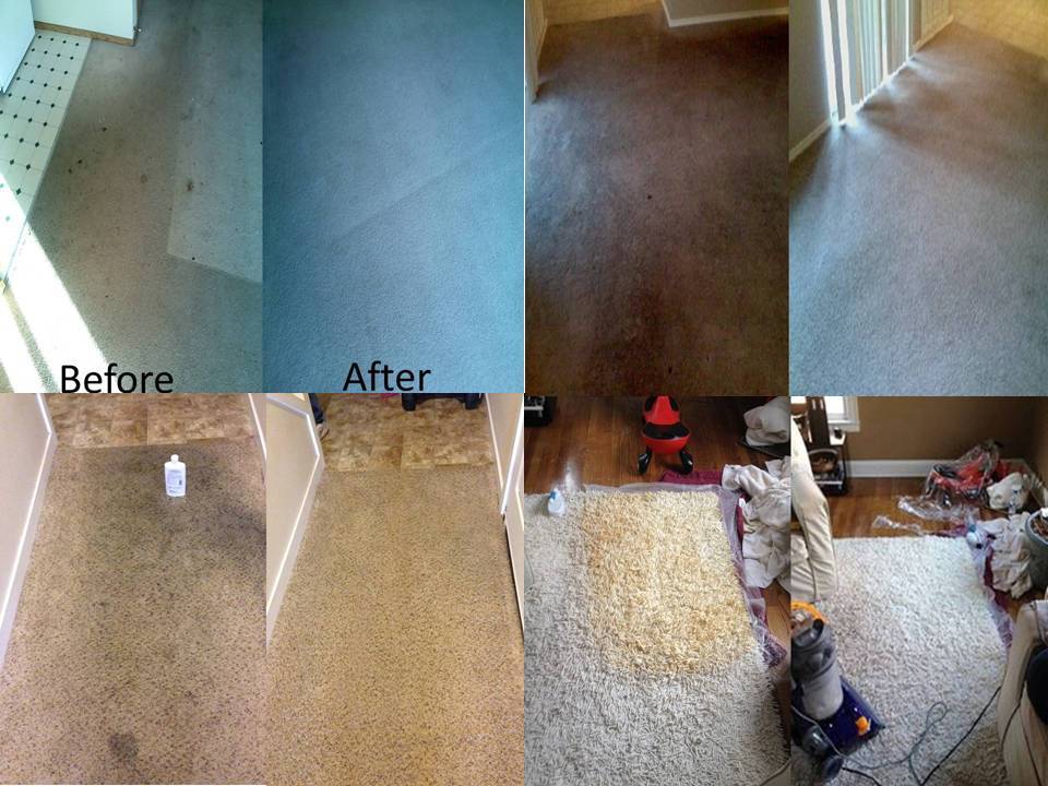 Premier Carpet Cleaning | 5519 NE 49th Ave, Vancouver, WA 98661 | Phone: (360) 356-4500