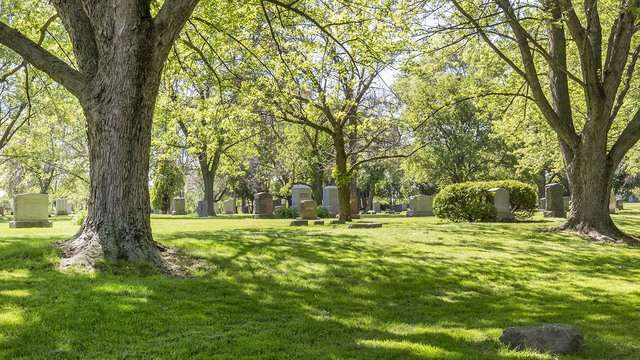 Evergreen Cemetery | 3401 W 87th St, Evergreen Park, IL 60805 | Phone: (708) 422-9051