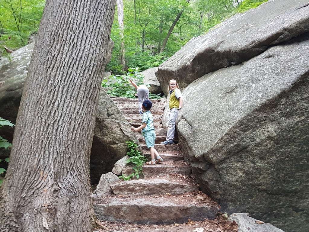 Bear Mountain Hike Trail | Tomkins Cove, NY 10986