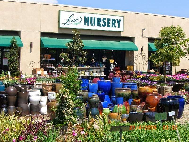 Louies Nursery | 16310 Porter Ave, Riverside, CA 92504, USA | Phone: (951) 780-7841