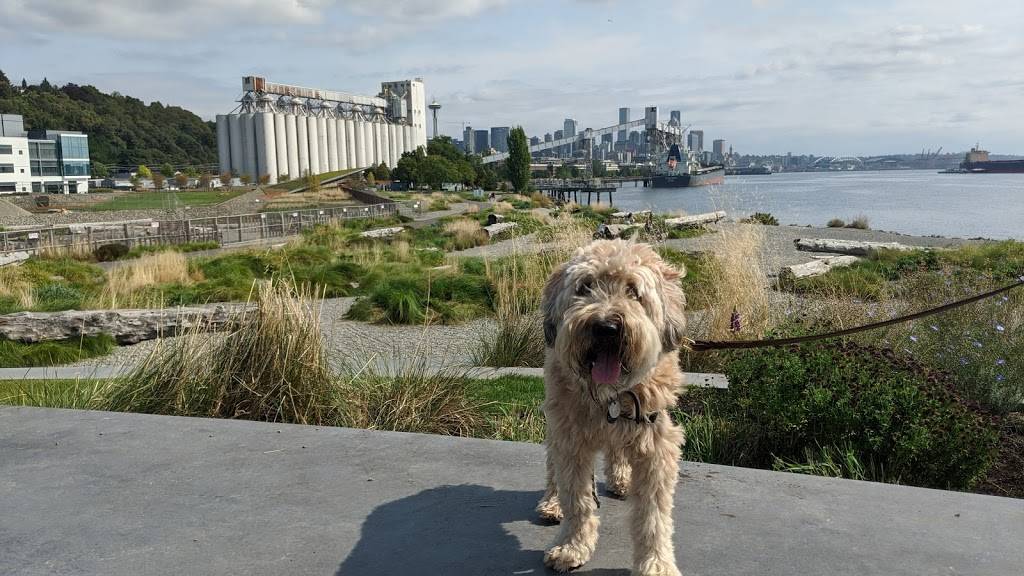 The Beach at Expedia Group | One Expedia Group Way West, Seattle, WA 98119, USA | Phone: (425) 679-7200