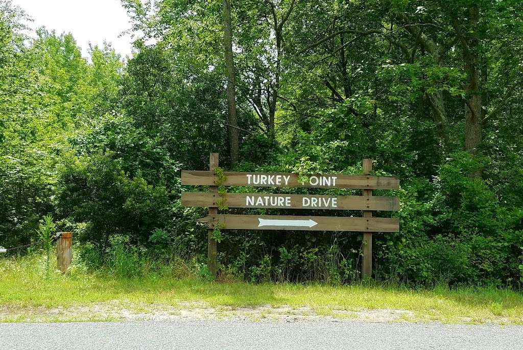 Natural Lands Glades Wildlife Refuge | Turkey Point Rd, Newport, NJ 08345 | Phone: (856) 825-9952