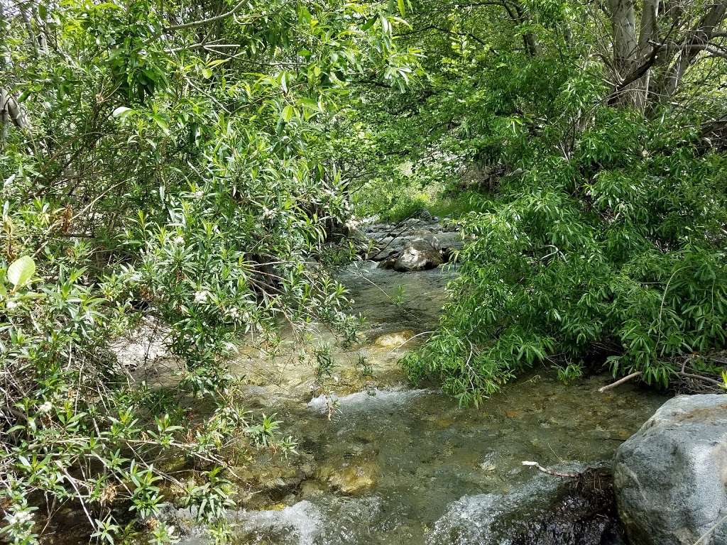 Mt. Baldy Wilderness Preserve | Angeles National Forest San Gabriel Mountains National Monument, Barrett Stoddard Truck Trail, Claremont, CA 91711, USA | Phone: (626) 815-1019