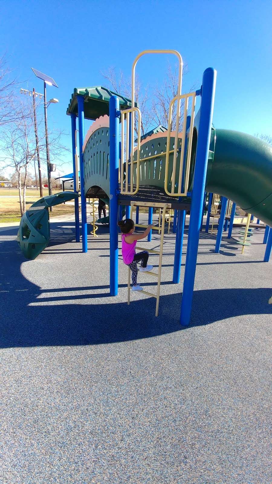 northampton converse tx