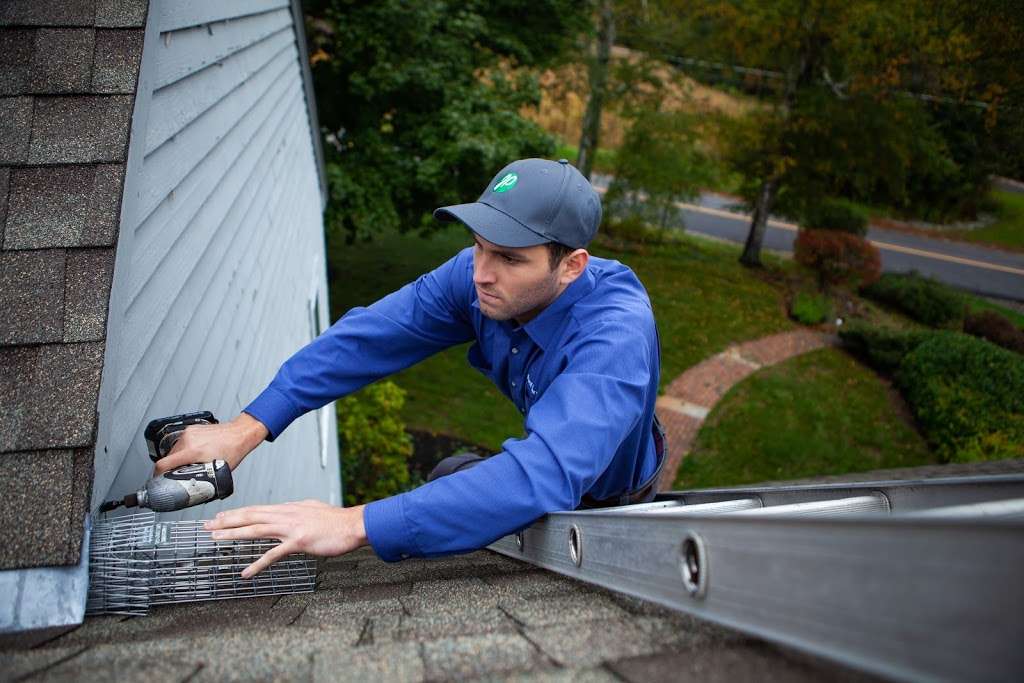 JP Pest Services | 101 Emerson Rd, Milford, NH 03055 | Phone: (603) 673-2908