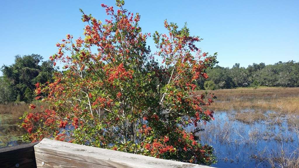 Twin Lakes Park | 35303 County Rd 473, Leesburg, FL 34788, USA