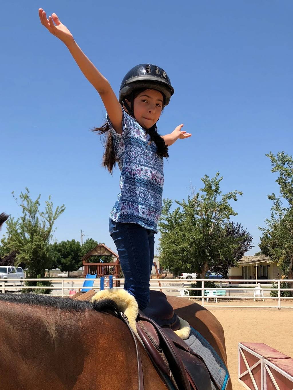 Kern Equestrian Academy | 6320 Krebs Rd, Bakersfield, CA 93308, USA | Phone: (561) 901-6695