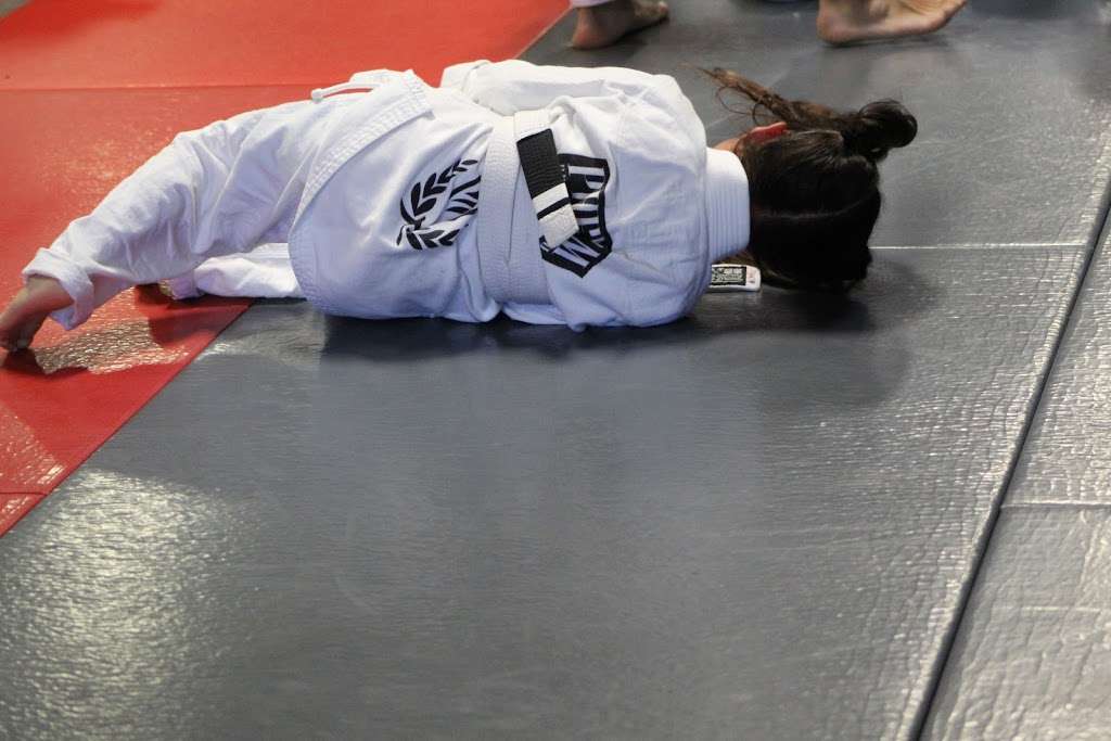 Phenom Brazilian JiuJitsu & Mixed Martial Arts 15230 San Fernando Mission Blvd b104, Mission