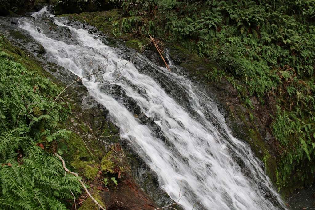 Cascade Falls | Cascade Falls Trail, Fairfax, CA 94930, USA | Phone: (571) 608-2147