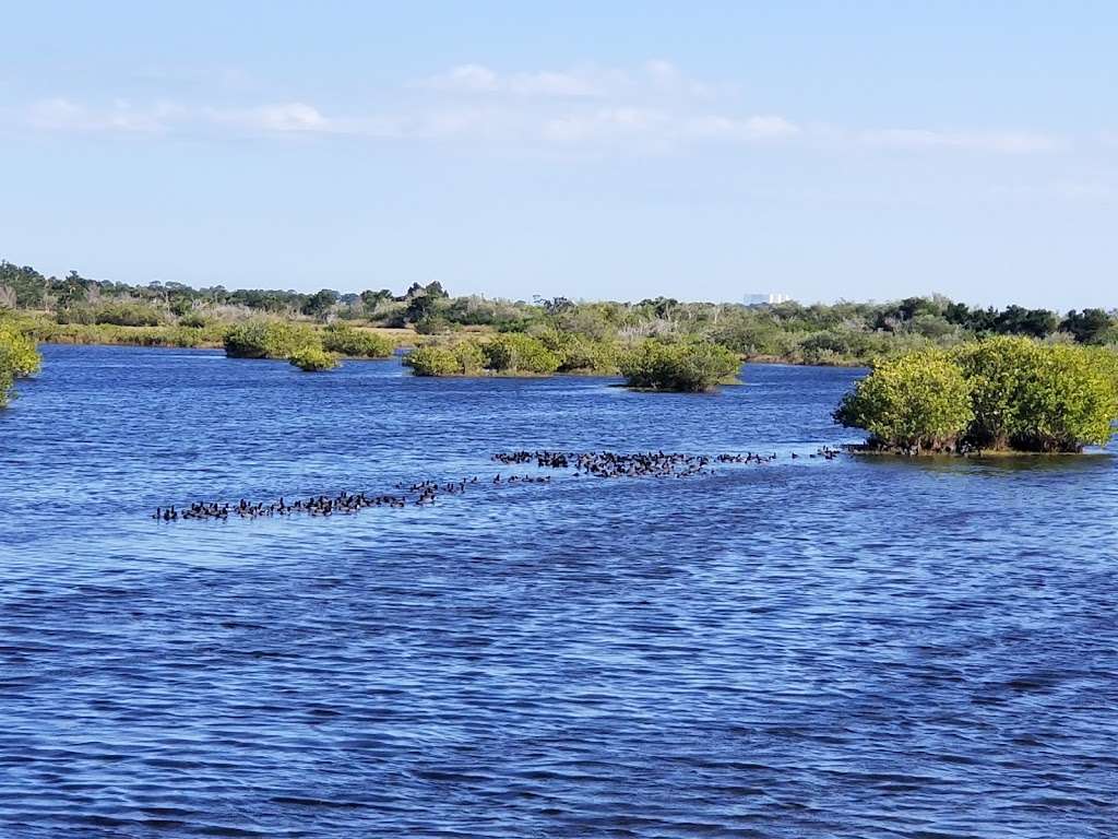 Allan Cruickshank Trail | Florida, USA