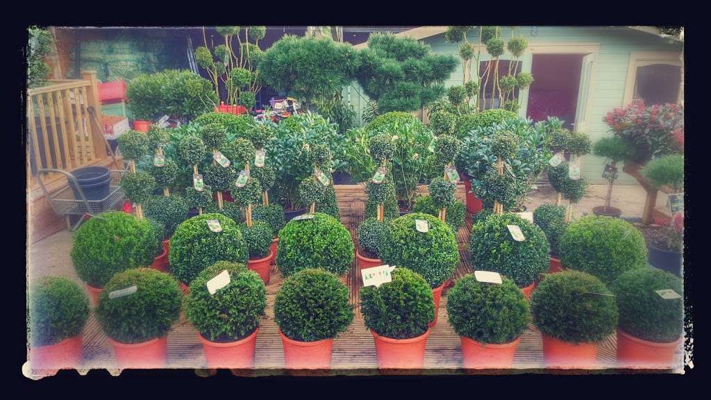 Flower Pot Nursery | Frant Rd, Tunbridge Wells TN3 9HB, UK | Phone: 01892 510190