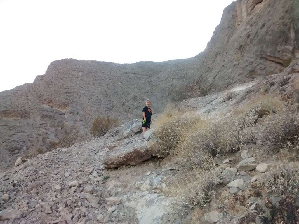 Lone Mountain Park | 4445 N Jensen St, Las Vegas, NV 89129, USA | Phone: (702) 455-8200