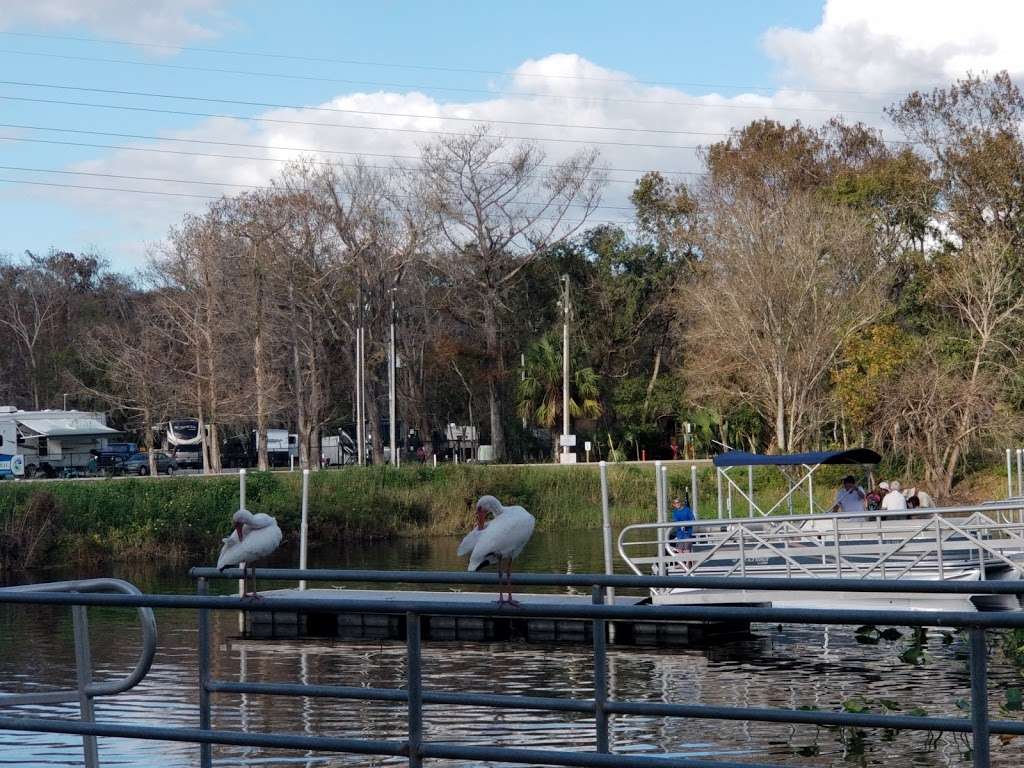 Ed Stone Park and Boat Ramp | 2990 FL-44, DeLand, FL 32724 | Phone: (386) 736-2700