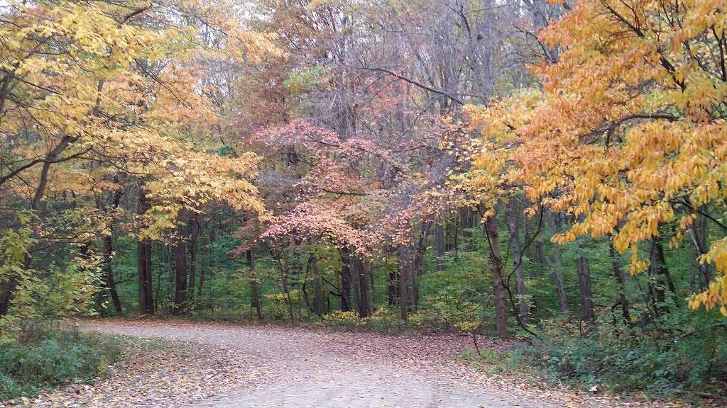 Warren Woods State Park | Elm Valley Rd, Three Oaks, MI 49128, USA | Phone: (269) 426-4013