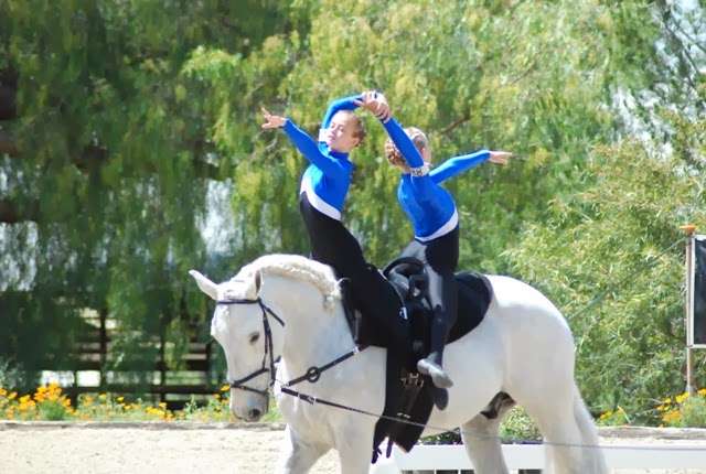 The Riding Academy | 30300 Garbani Rd, Menifee, CA 92584 | Phone: (951) 301-9272