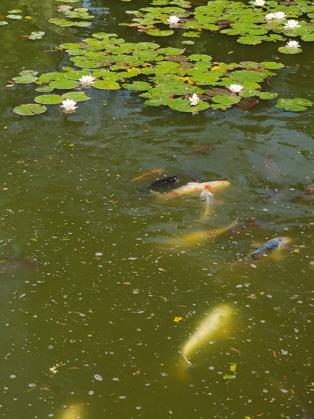 Sasebo Japanese Garden at ABQ Biopark | 2601 Central Ave NW, Albuquerque, NM 87104 | Phone: (505) 768-2000