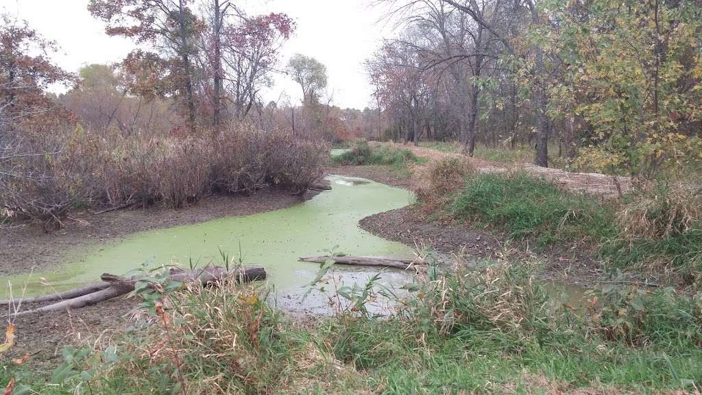 Bittern Bottoms Conservation Area | Harrisonville, MO 64701, USA | Phone: (816) 622-0900