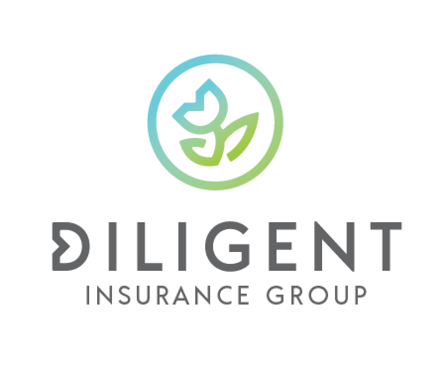 Diligent Insurance Group - Miranda Miller | 6153 Wildcat Dr, Indianapolis, IN 46203 | Phone: (317) 997-6601